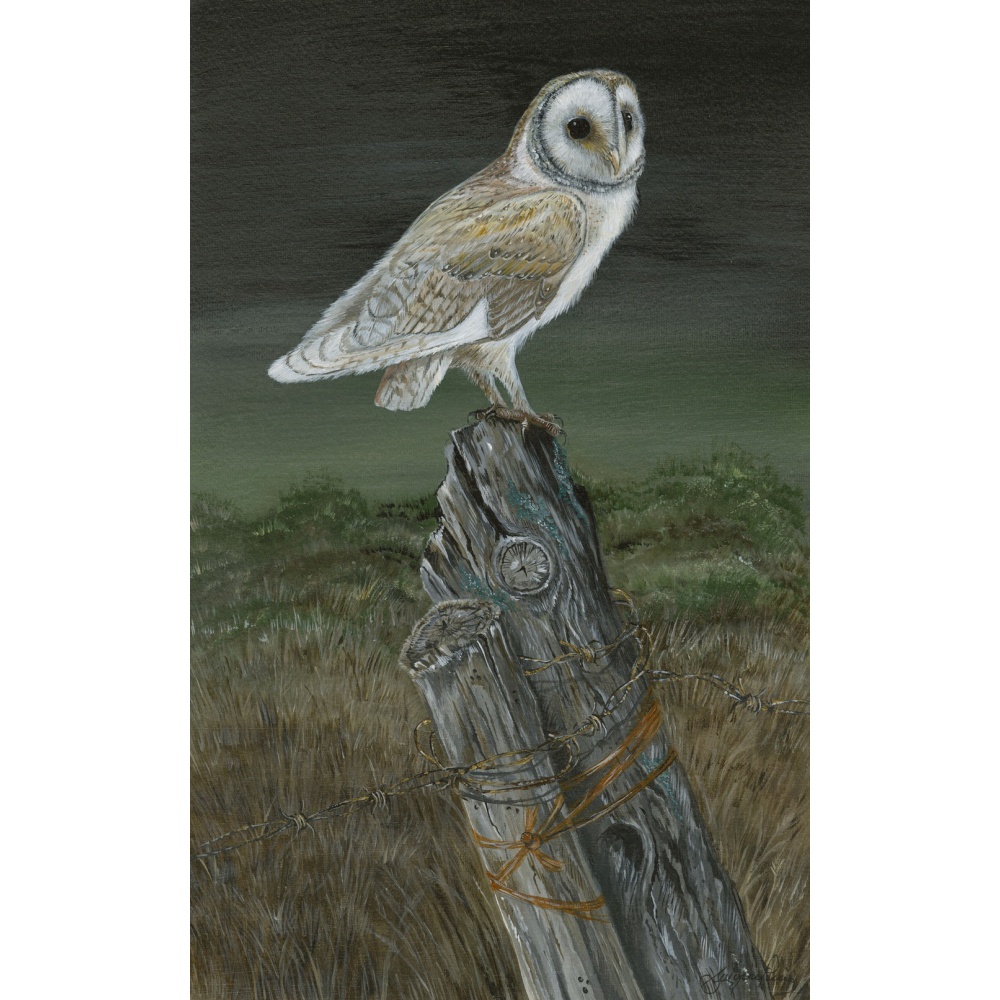 birds-fine-art-prints-barn-owl-hunting-ghost-suzanne-perry-art-164_2043252681