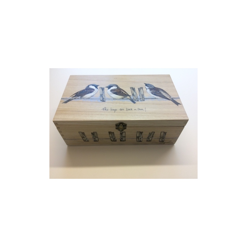 birds-keepsake-box-gifts-sparrows-boys-are-back-in-town