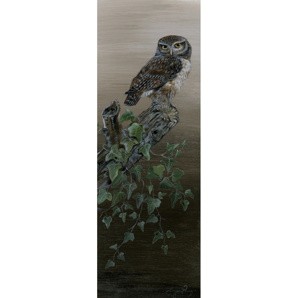 birds-of-prey-paintings-little-owl-breaking-dawn-suzanne-perry-art-115