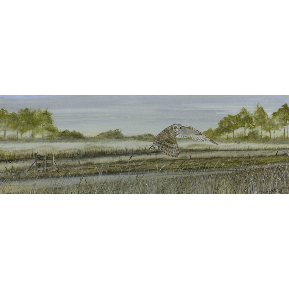 birds-of-prey-paintings-short-eared-owl-misty-meadow-suzanne-perry-art-198