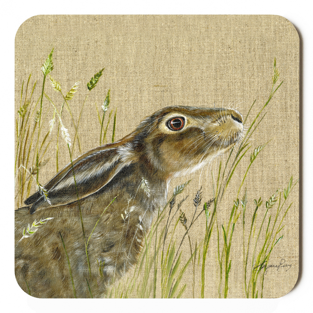 hare-dixie-canvas_-_coaster_-_spart_336_copy