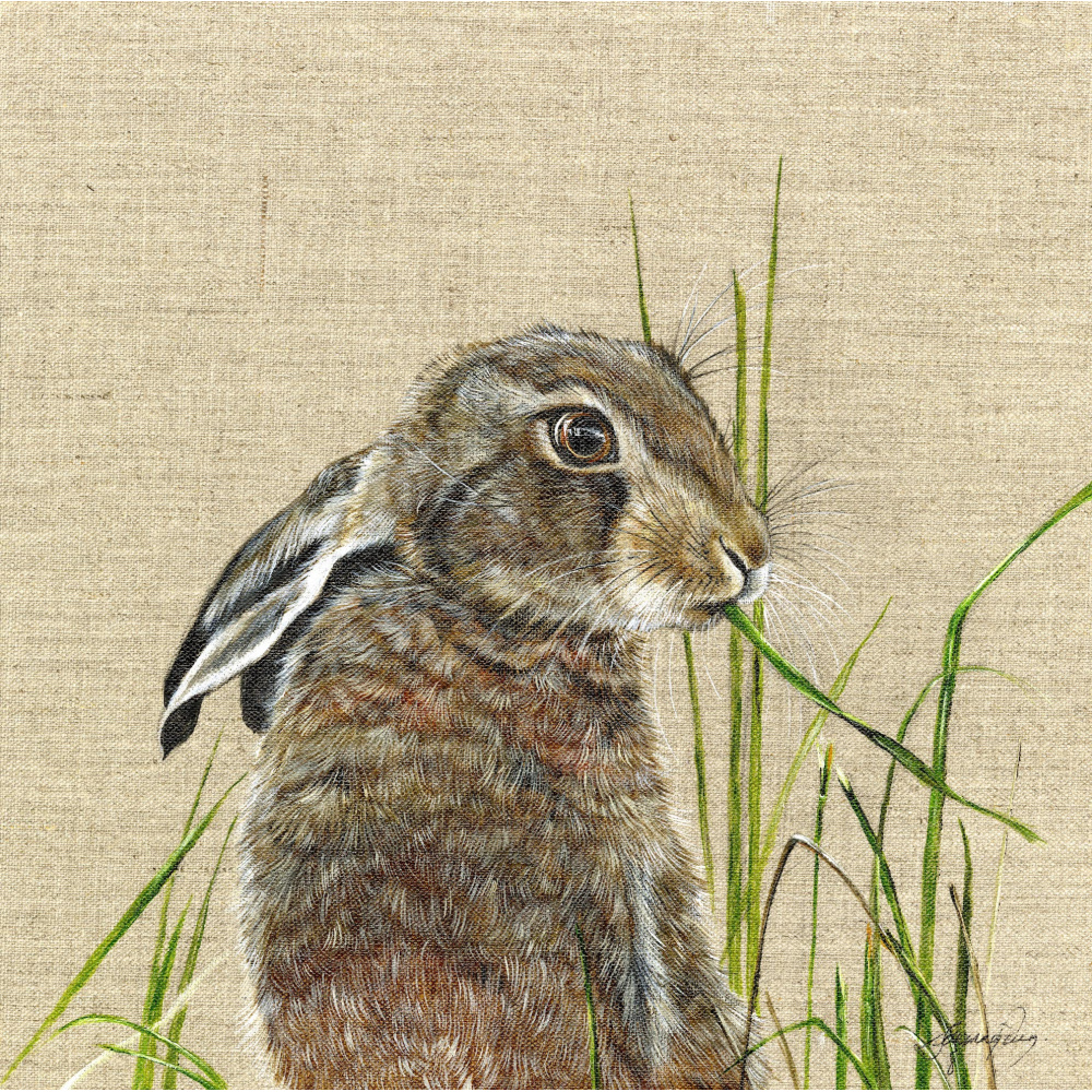 hare-harriet-canvas-1_website_656817860