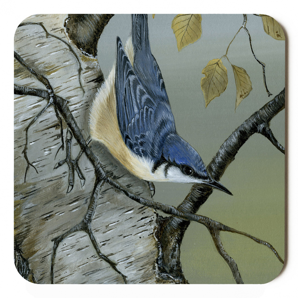 nuthatch_final_coaster_spart_385_copy