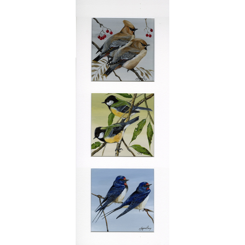 viisting-birds-paintings-waxwings-great-tits-swallows-perfect-pairs