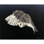 barn-owl-on-linen-canvas-sp-art-379_for_website