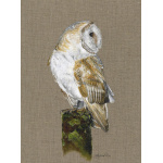 birds-barn-owl-oberon-canvas_website_1975078849