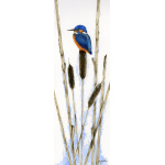 birds-fine-art-prints-kingfisher-bullrushes-suzanne-perry-art-015