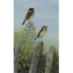 birds-fine-art-prints-stonechats-suzanne-perry-art-124_1482373602