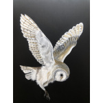 birds-of-prey-barn-owl-focus-s-p-art-401_71704646