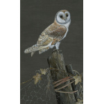 Barn Owl Original Acrylic Painting - Midnight Owl