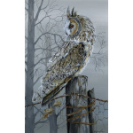 birds-of-prey-long-eared-owl-three-s-p-art-360