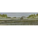 birds-of-prey-paintings-short-eared-owl-misty-meadow-suzanne-perry-art-198