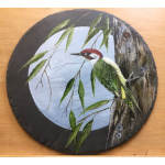 birds-slates-gifts-green-woodpecker