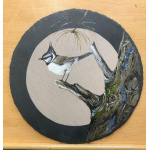crested-tit-10