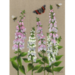 flowers-foxgloves-on-linen-canvas-sp-art-371_for_website