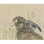 hare-violet-canvas_website_2126236750