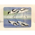 Melamine Placemat - Quartet ( Avocets ) Design sp10-1552