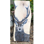 stag-walnut-sp-art-376