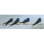 visiting-birds-paintings-swallows-summertime-suzanne-perry-242_1104581039