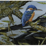 water-and-coastal-birds-paintings-kingfisher-riverside-reflection-suzanne-perry-art-281_645852919