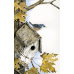 woodland-birds-paintings-nuthatch-house-hunting-suzanne-perry-art-056